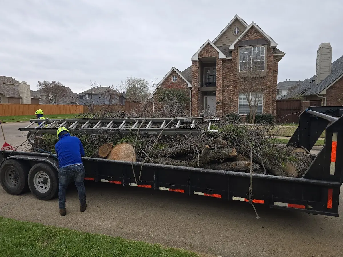 Expert Tree Fertilization with proper safety equipment in Bradford